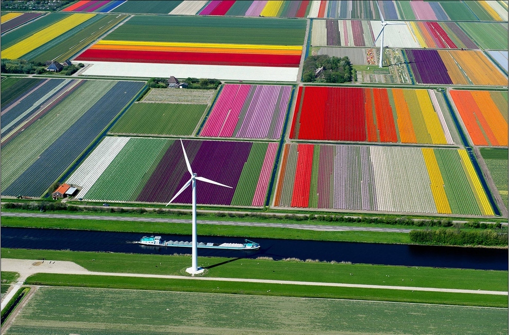 Tulip fields, Spoorbuurt, Holland The famously photogenic tulip fields in Holland are still incredibly photogenic from above.