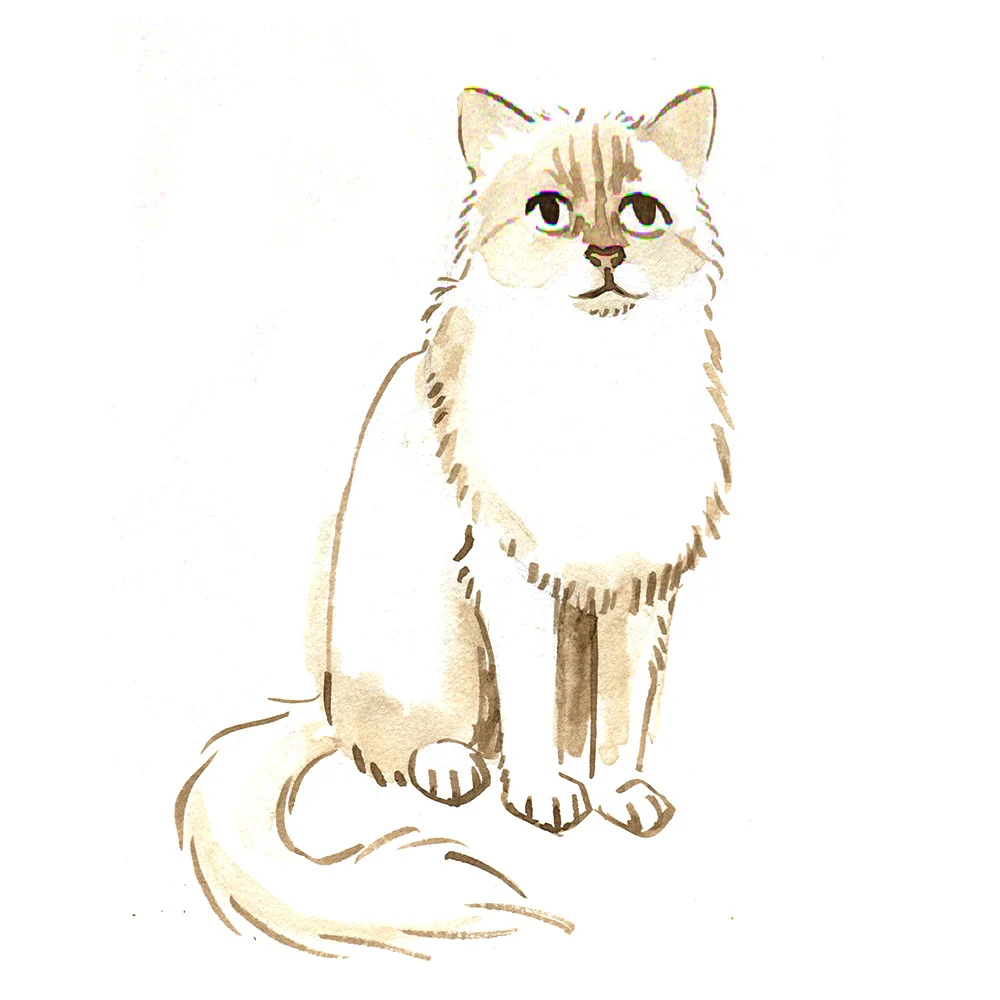 instagram-choupette.jpg