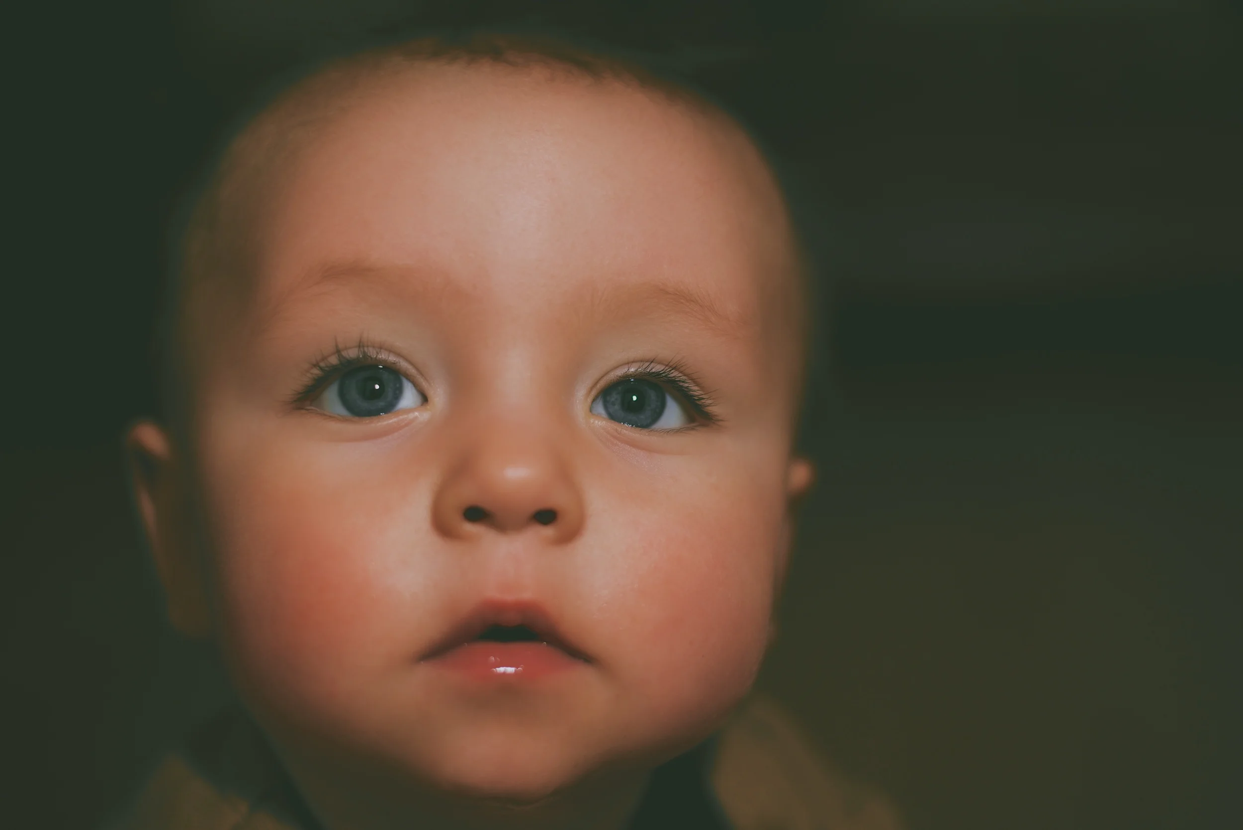 ari (2).jpg