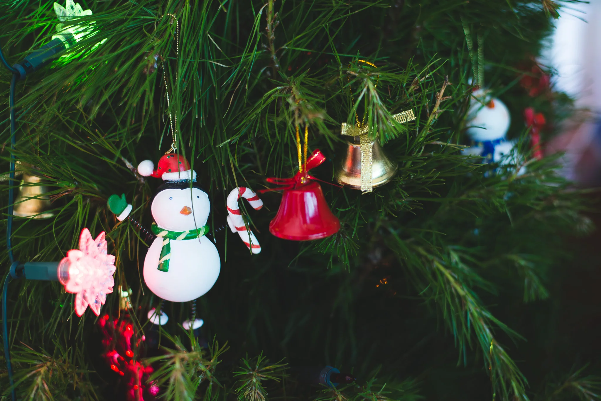 2014familyxmas8.jpg