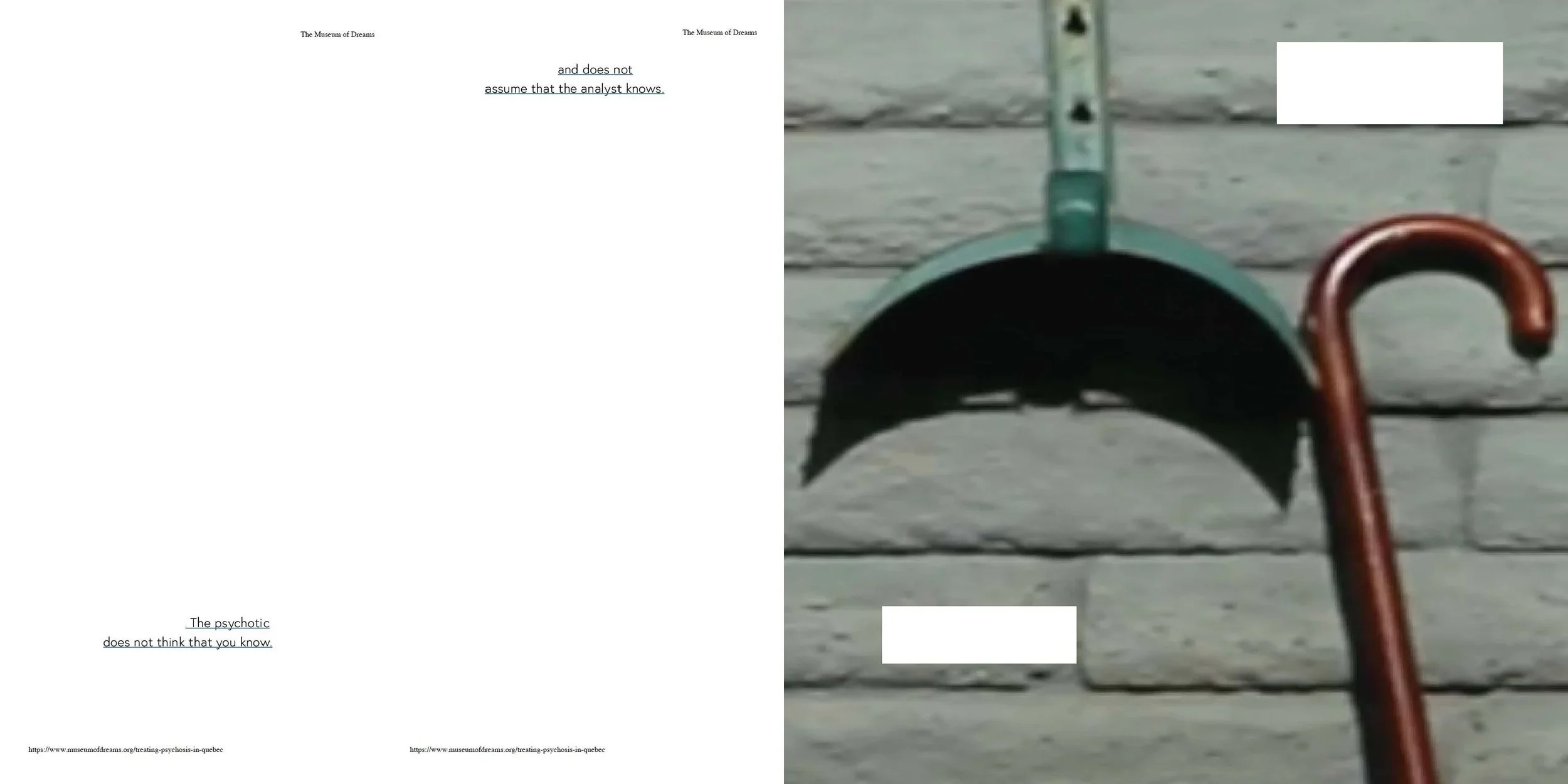 ProSem+PDF+Errasure_2-2_Page_05.webp