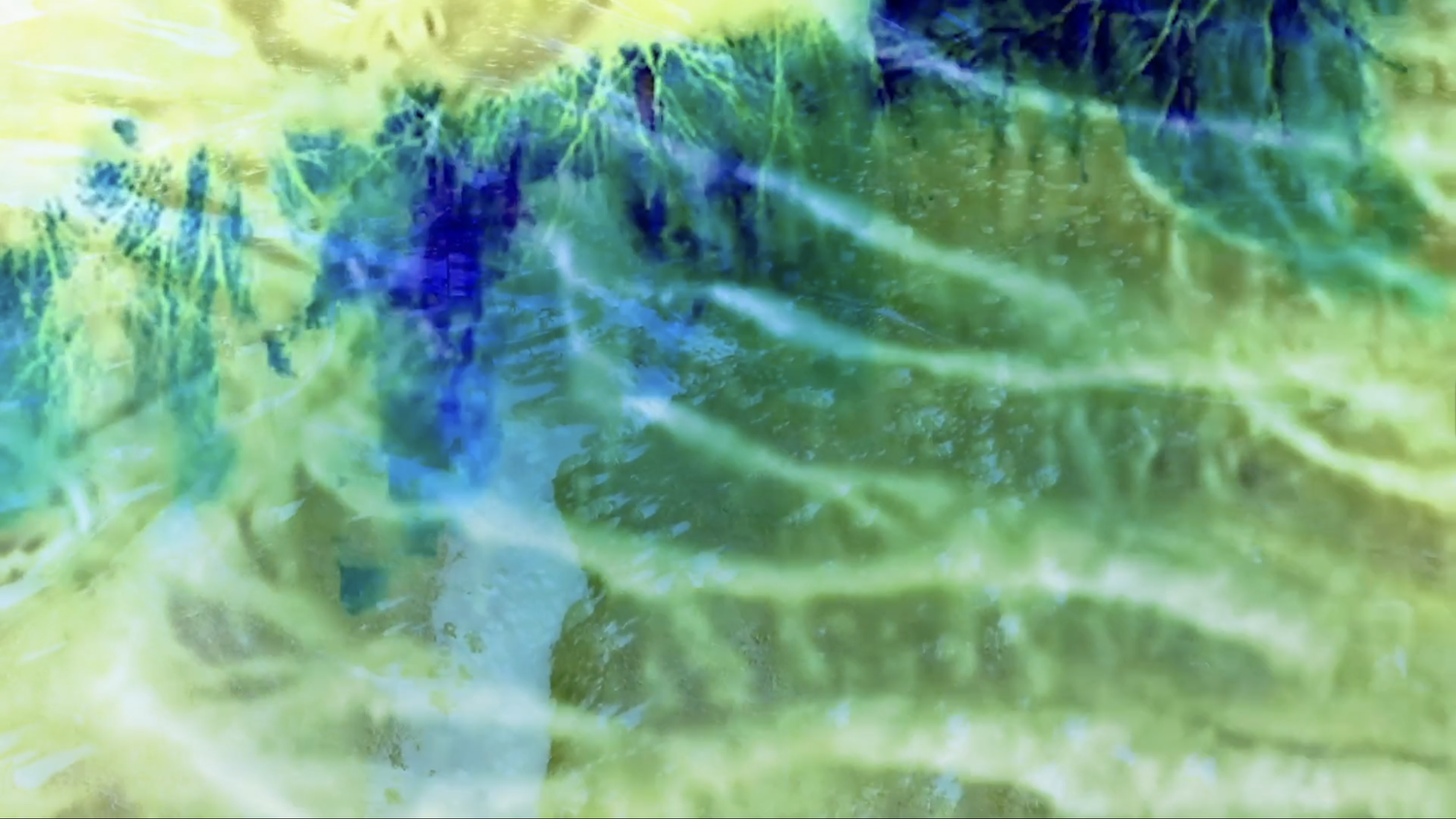 Screenshot+2025-10-13+at+12.00.46 PM (1).webp