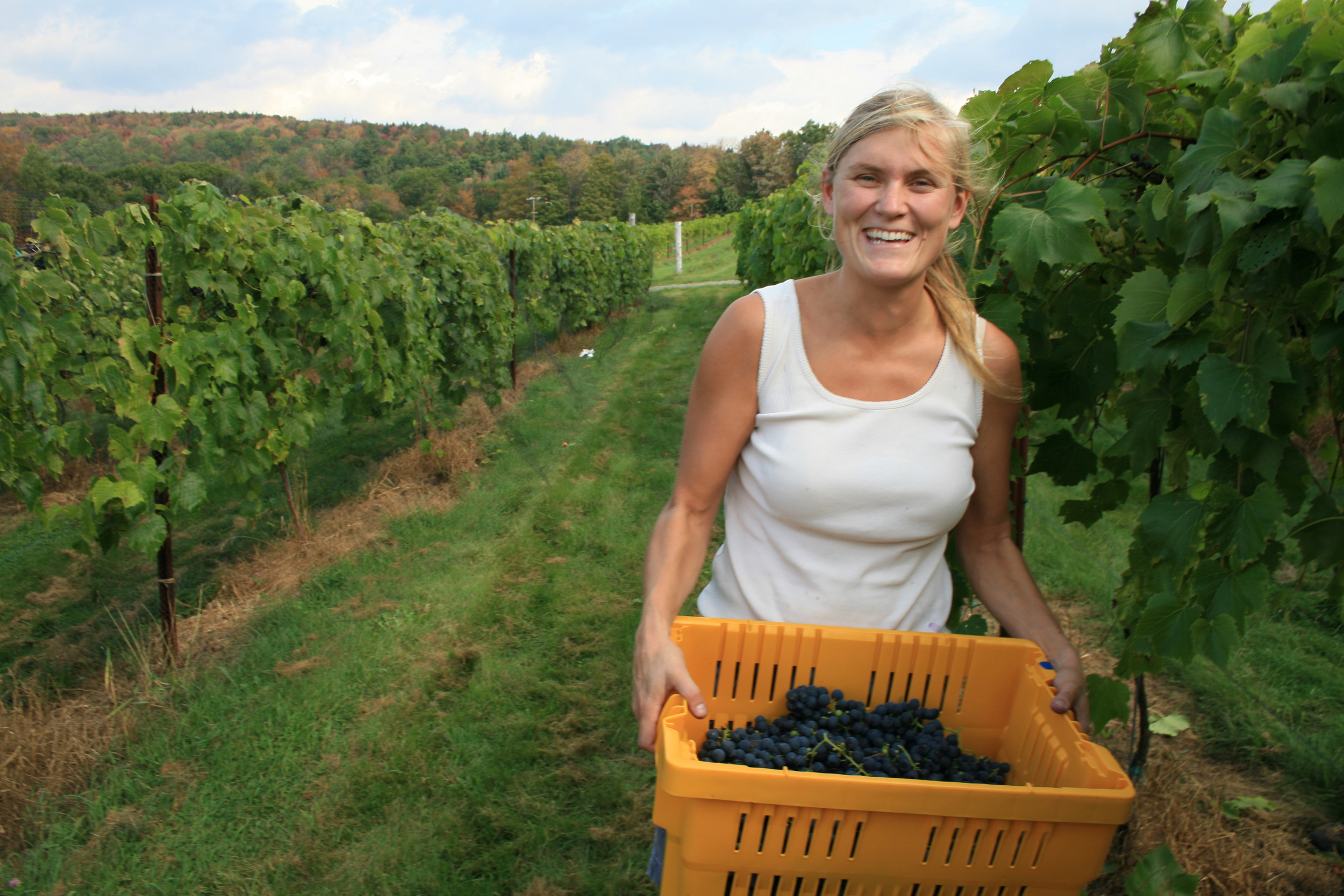 Harvest at Fresh Tracks Farm