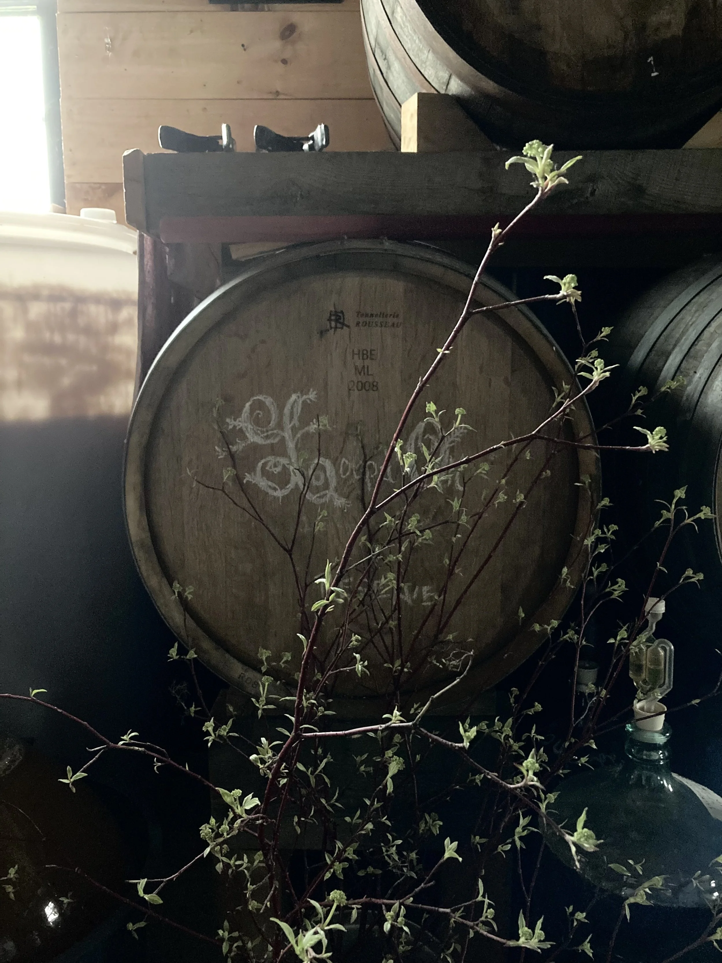 In the winery at Domaine La Garagista