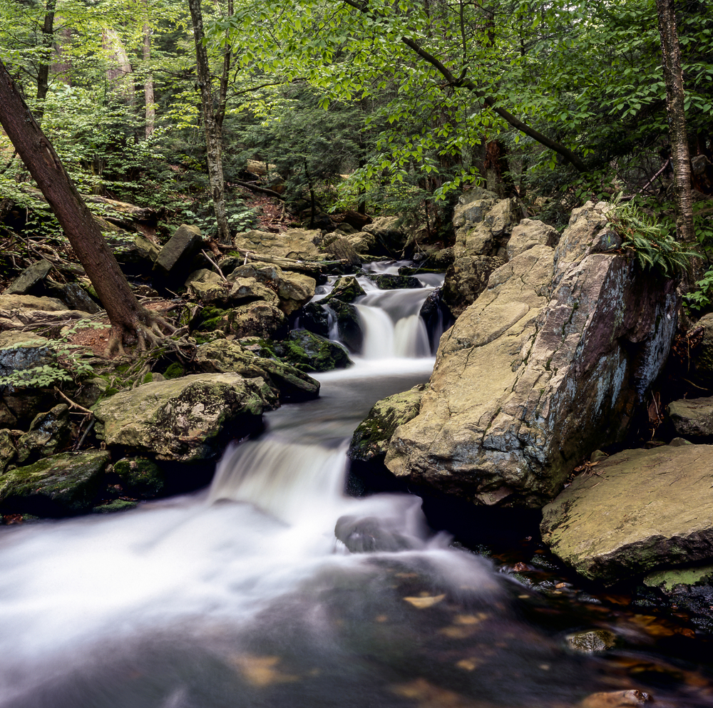 This picturesque landscape of New Hampshire is home to a fabulous Apparel & Home Lifestyle company