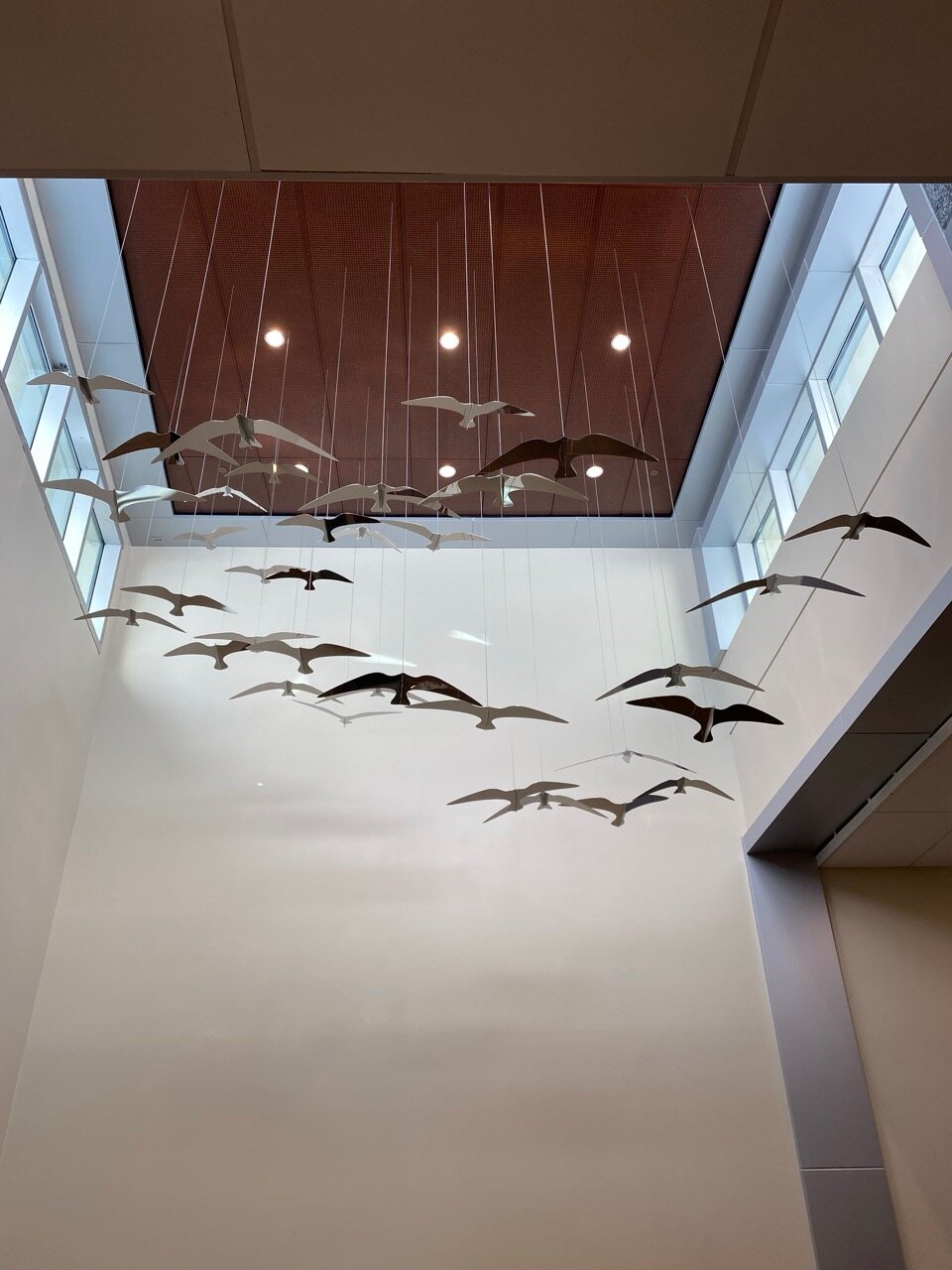 Kissimmee Hospital Bird Ceiling Sculpture — Ekko Mobiles — Large Custom  Hanging Mobiles, Kinetic Art, and Ceiling Sculptures for Home, Business,  and Public Spaces