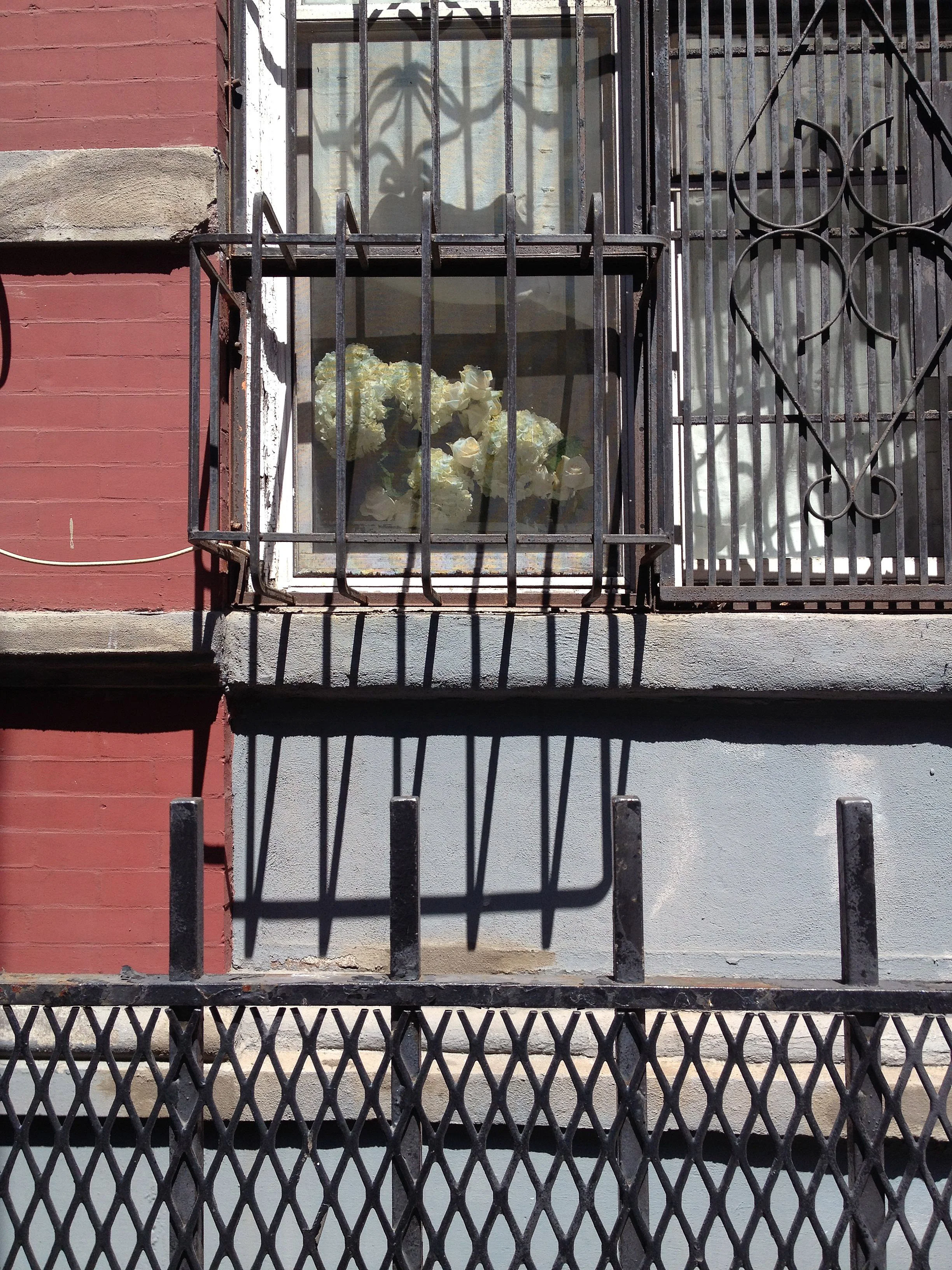 Flowers in the Window