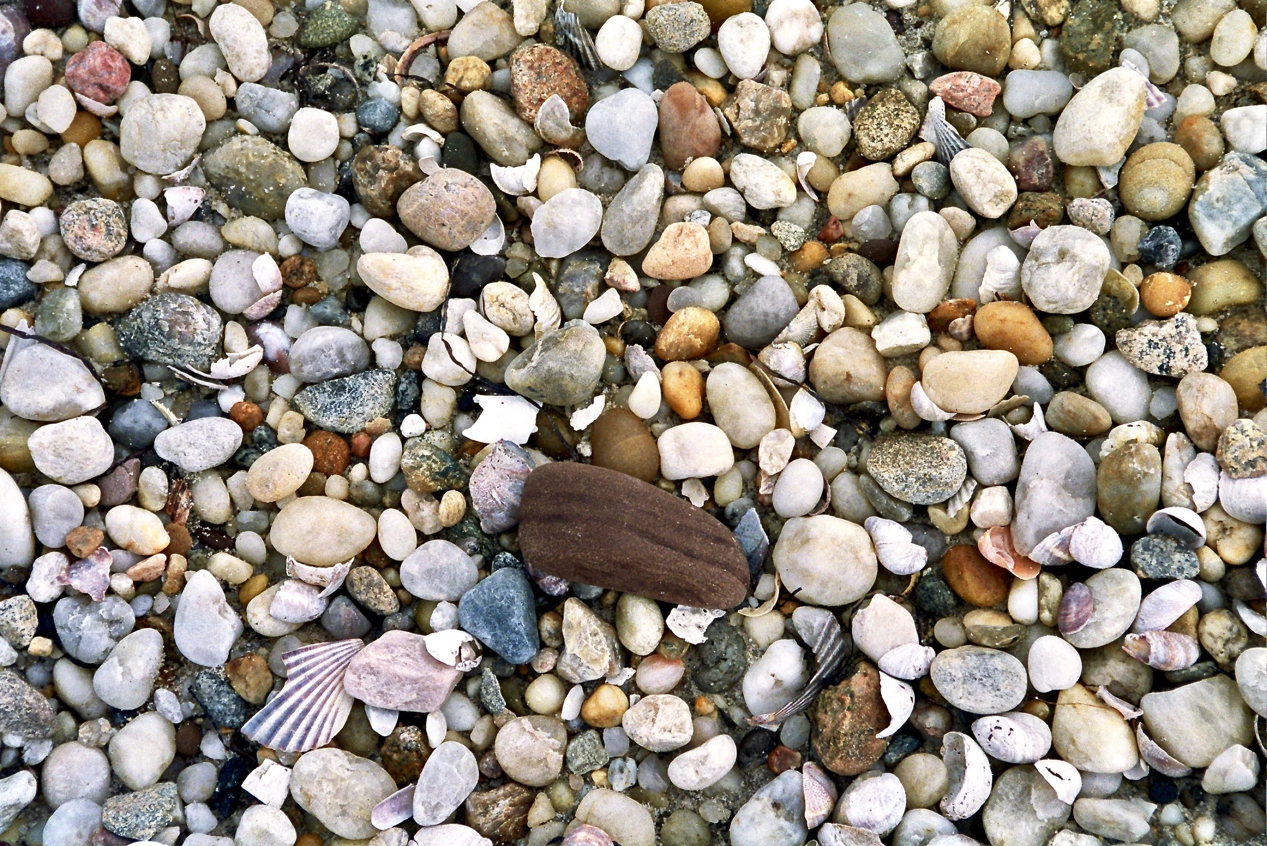 Shelter Island, NY 2004
