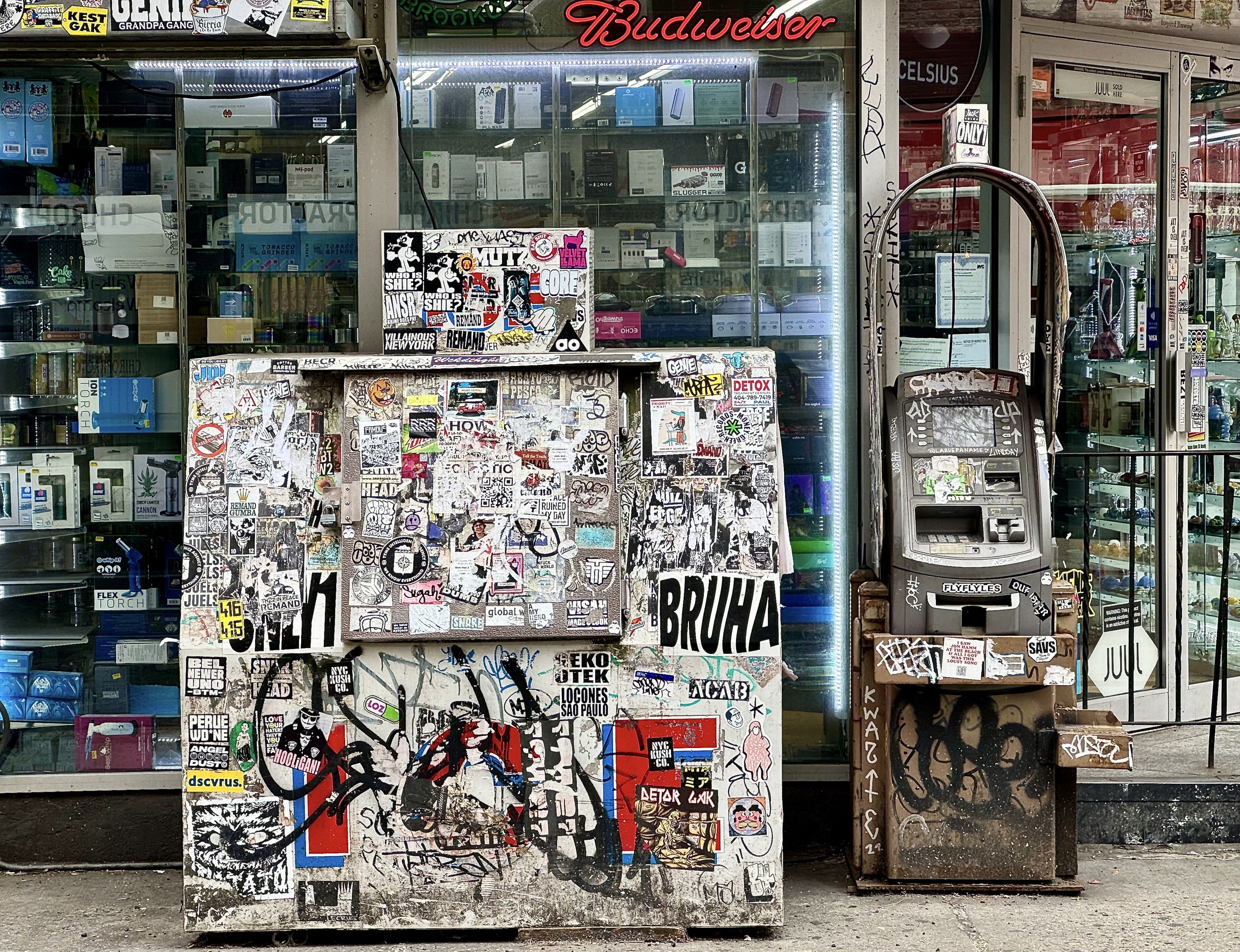 Nw York, NY 2024