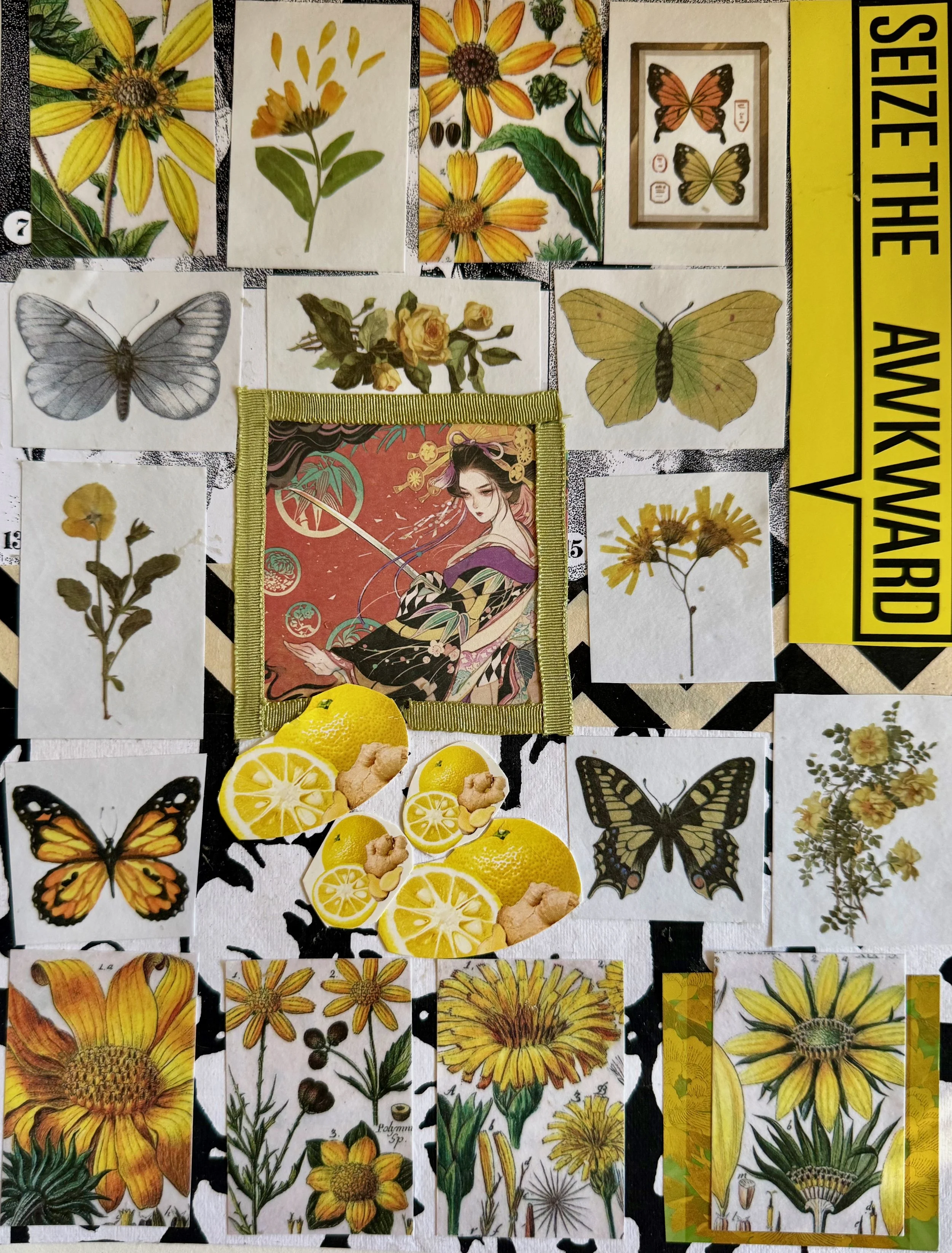 Collages - 48 of 67.jpeg