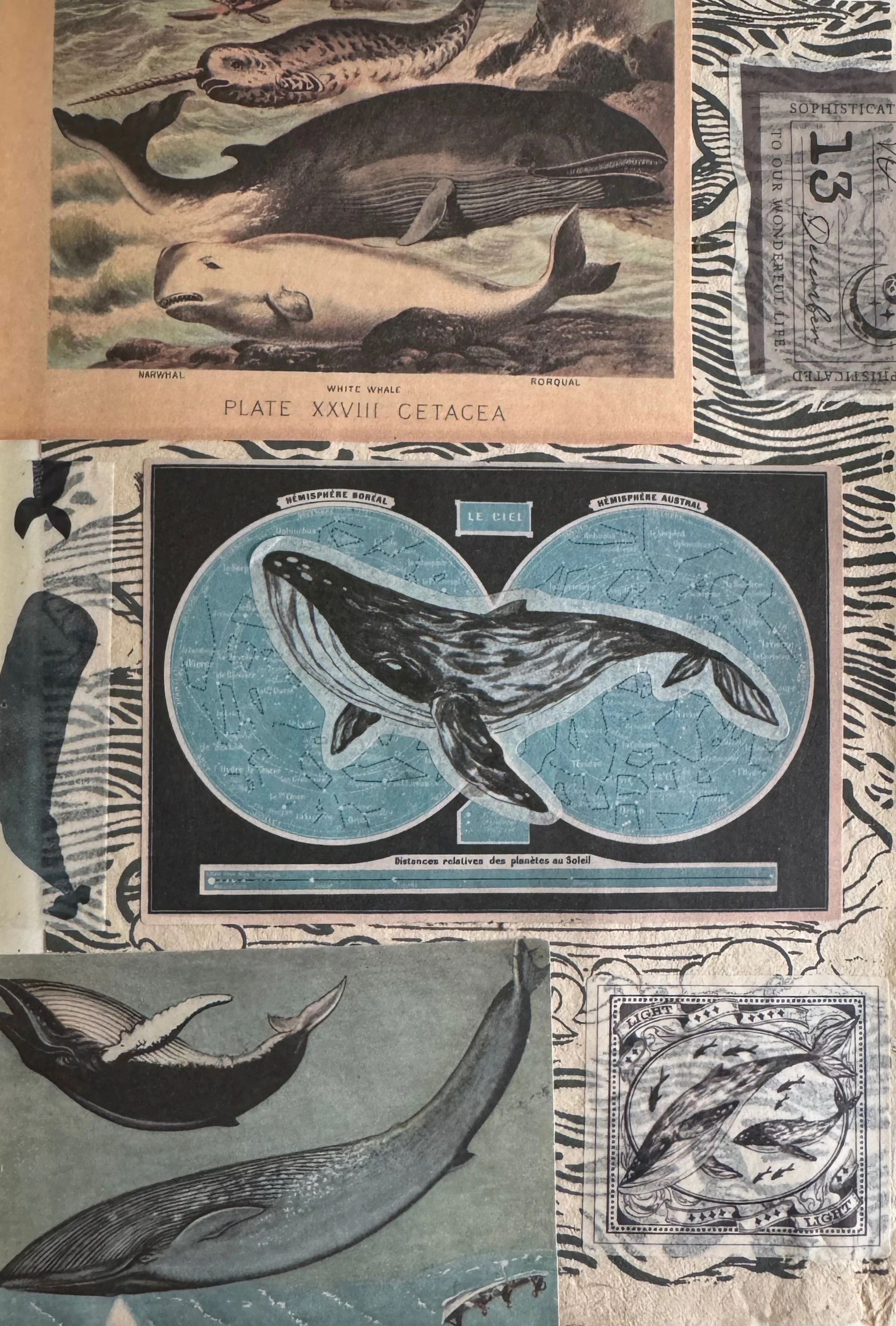 Collages - 33 of 67.jpeg