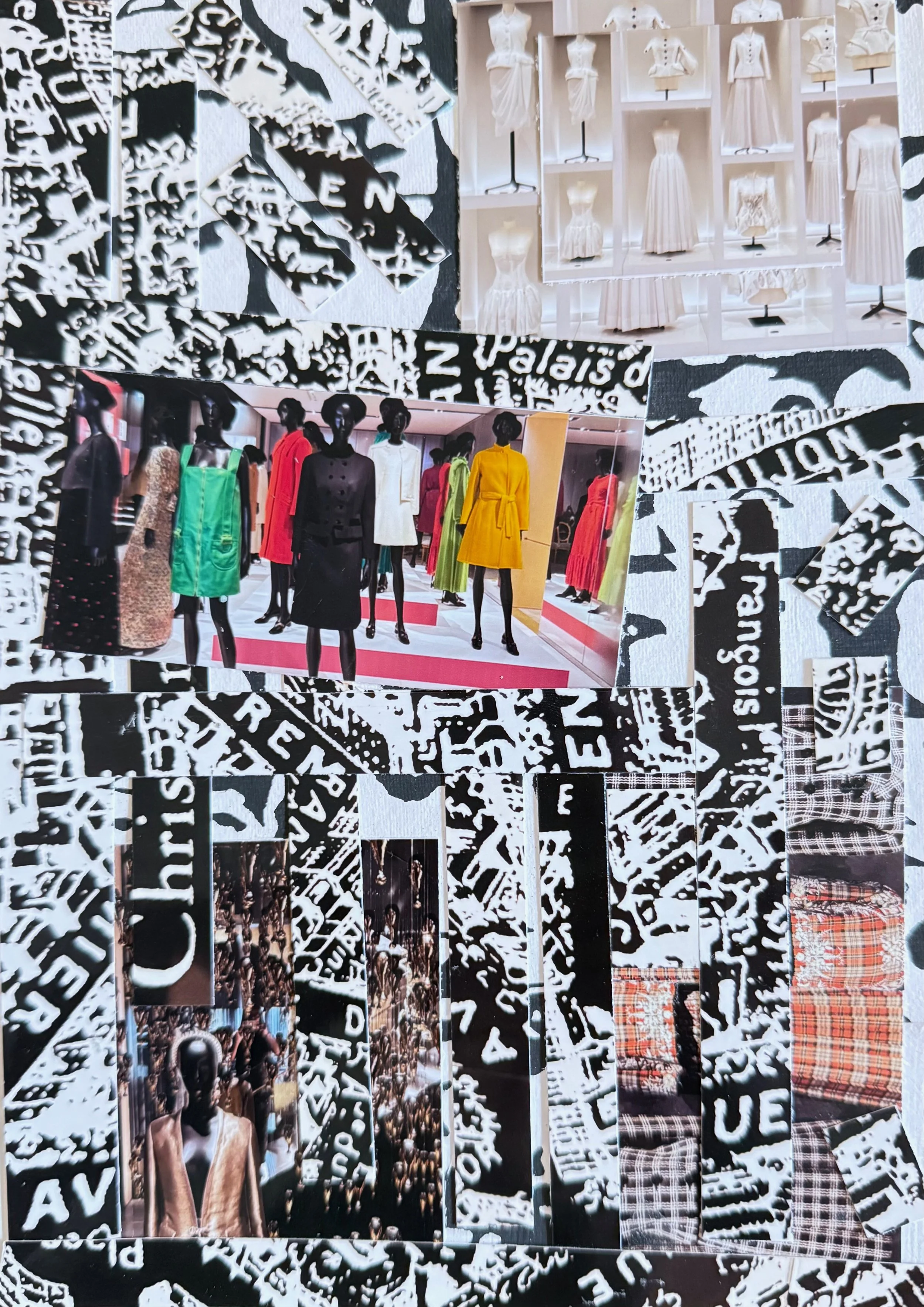 Photos by Vanessa Chirumbolo