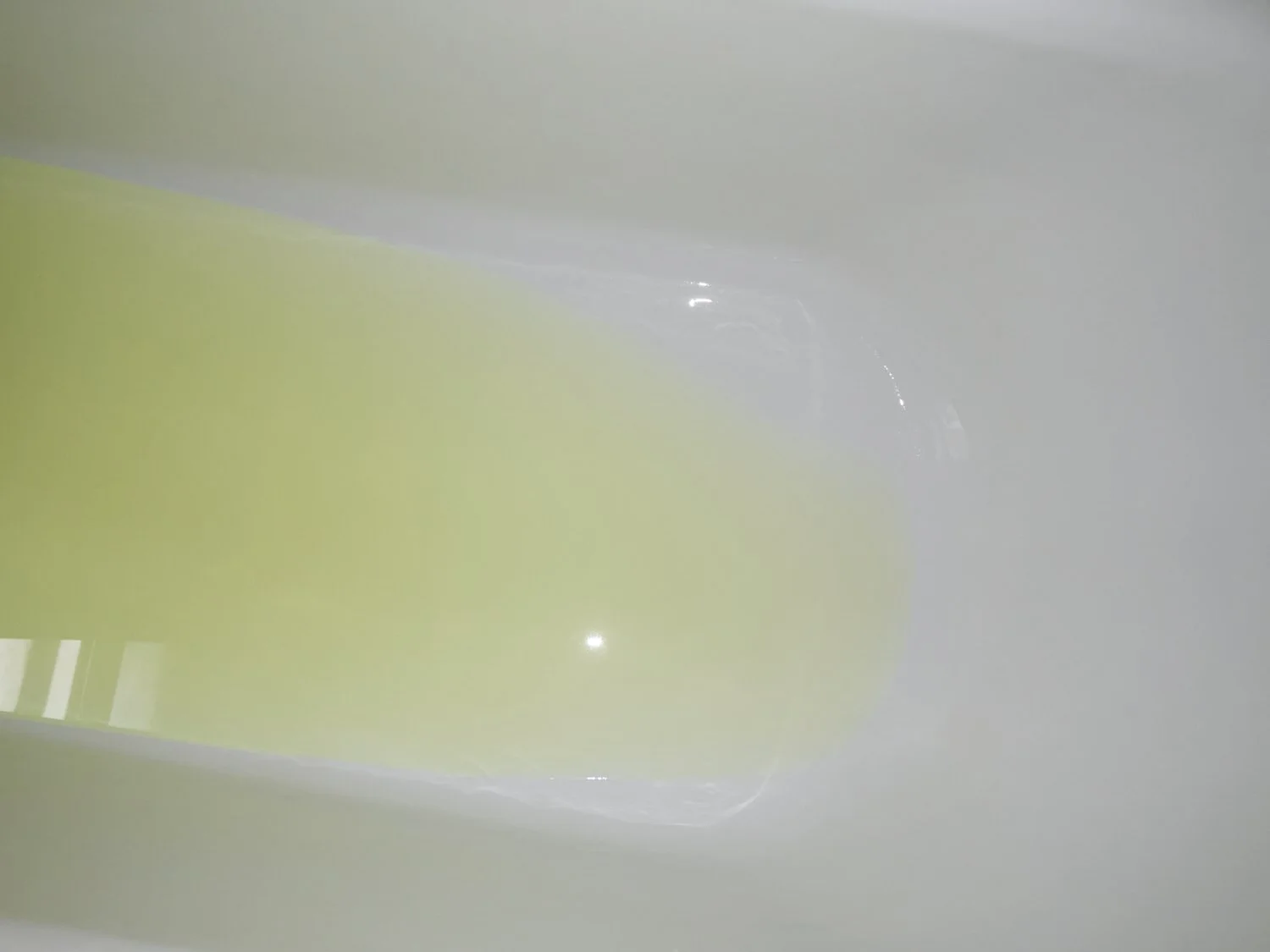 R0000554.jpg