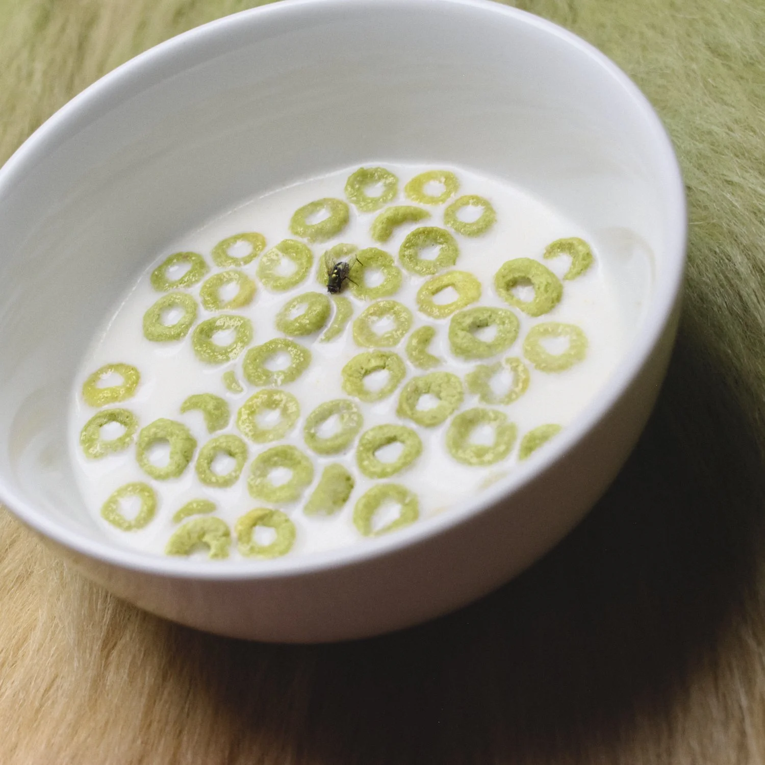 2024-08-16_NO JOY_BUG LAND16784.jpg