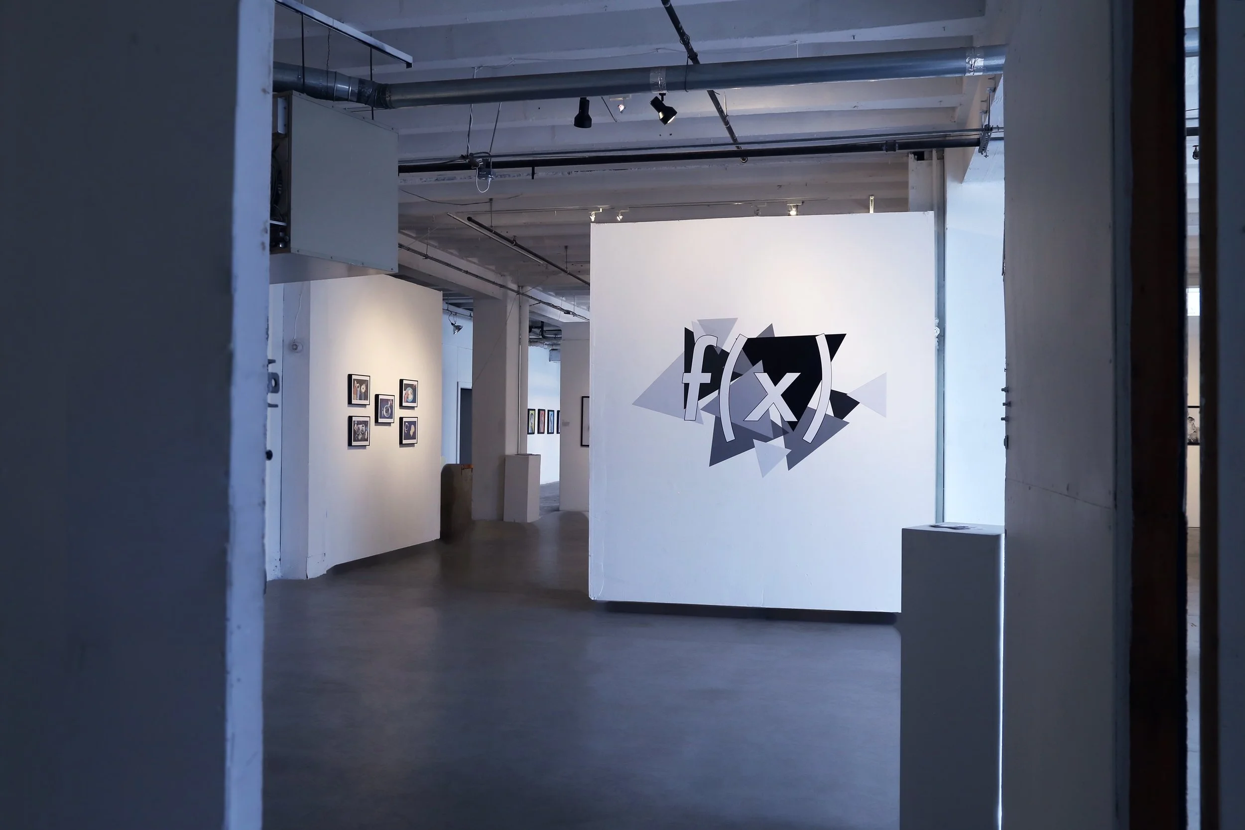 The exhibition, titled f(x) was held at the Mine Factory.