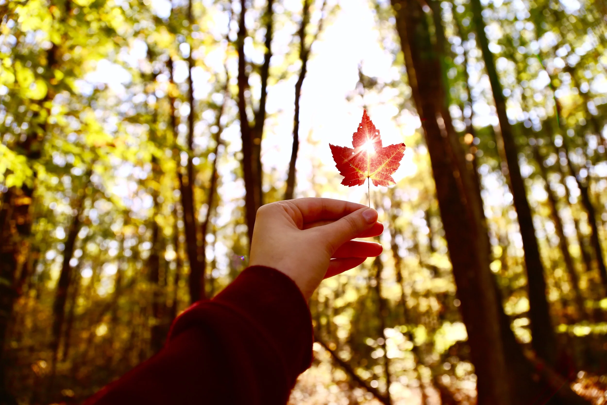 Weekenders: Pymatuning Lake