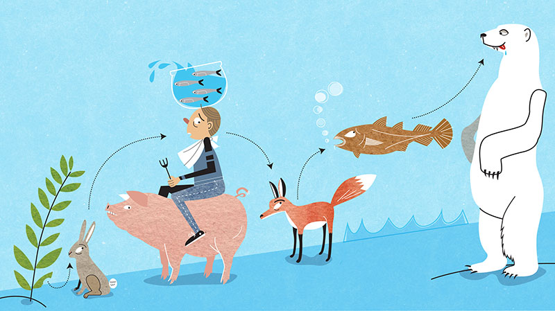 Where Humans Rank On The Food Chain. For NPR.org