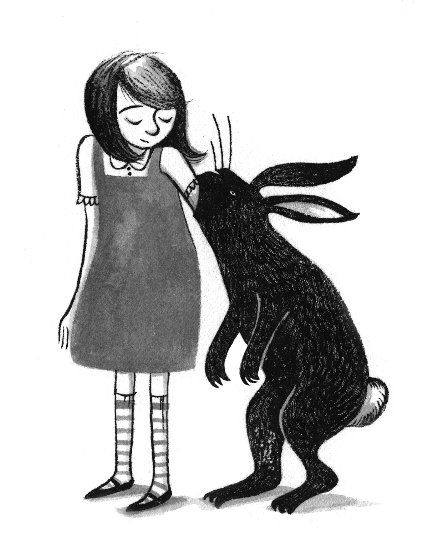 Some kind of rabbit dentist. For Stone Animals, Madras Press, 2012