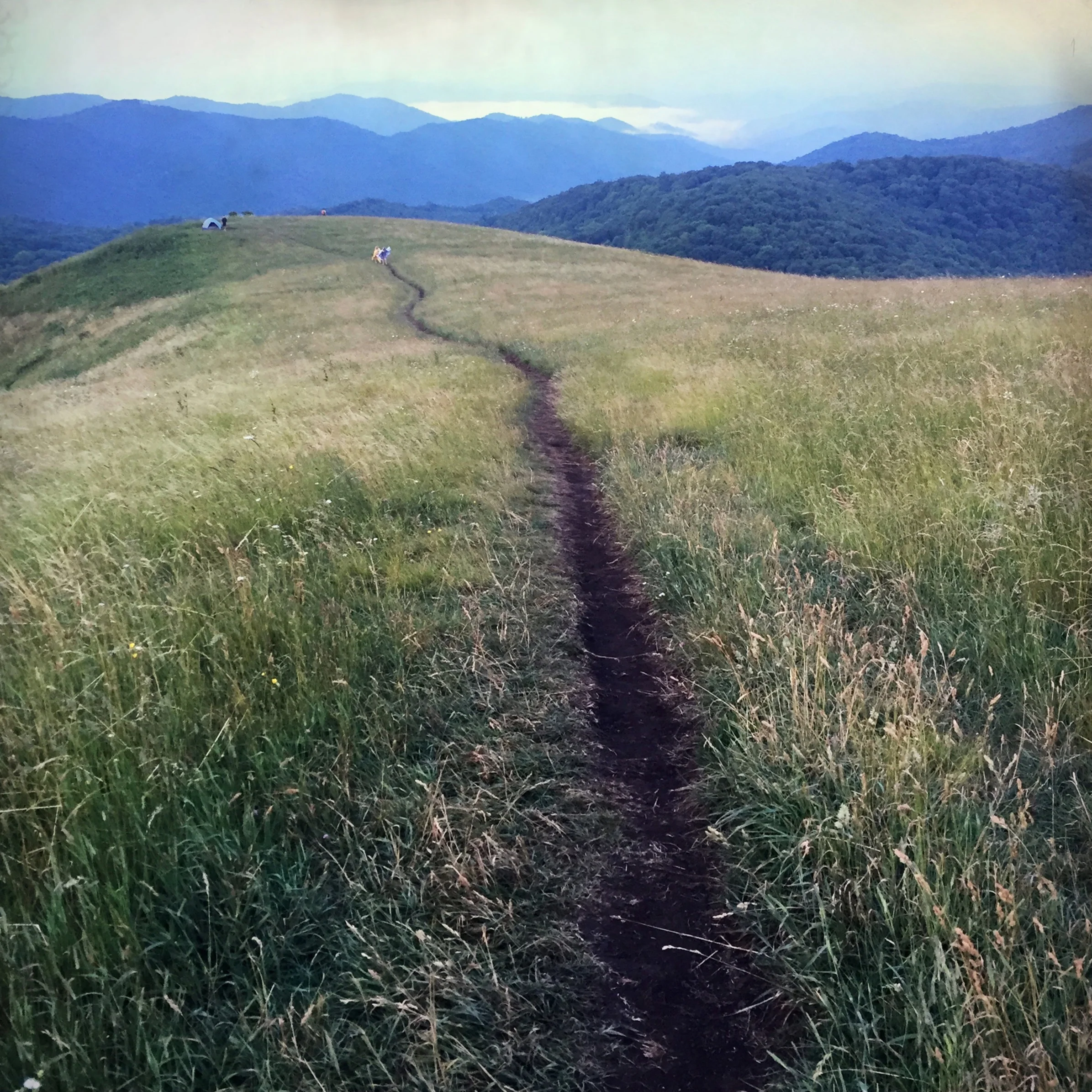 MaxPatch_ATtrail_.jpg
