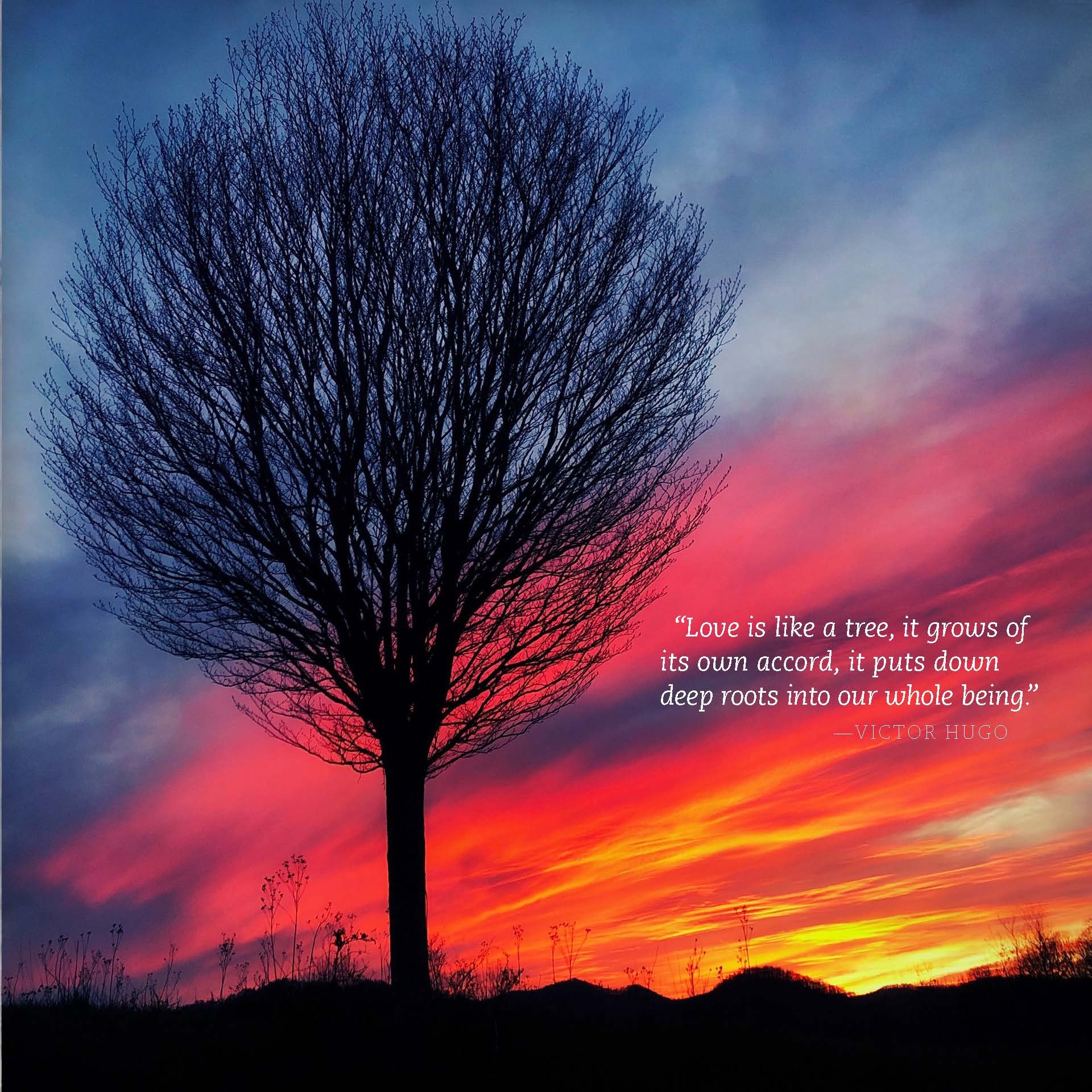 Lauren's Tree Calendar_Cover_Page_021.jpg