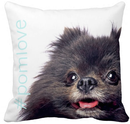 #pomlove luna.png