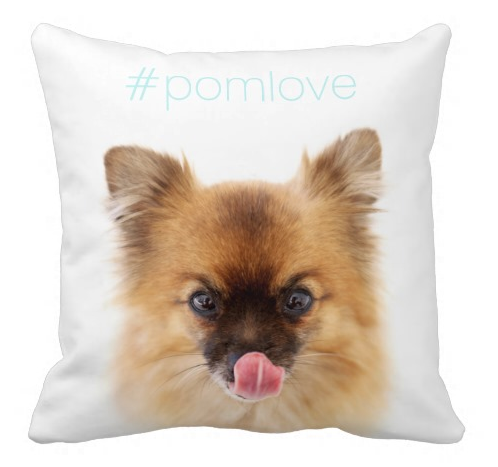 #pomlove indy.png