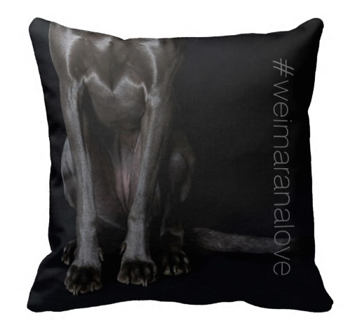 #weimaranalove paws .png