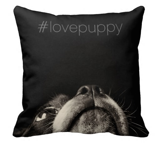 #lovepuppy cushion champ.png