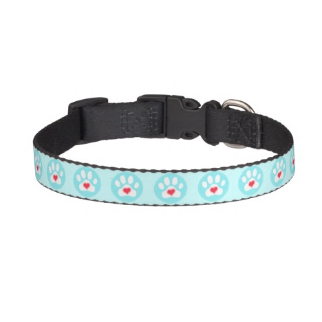 LPP robbins egg collar.png