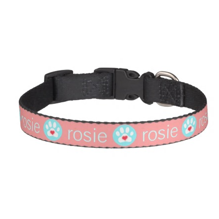 LPP coral name collar.png