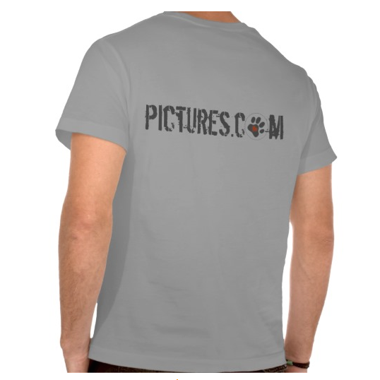 Mens_ AmericanApparel_T-shirt_Grey_Back.png