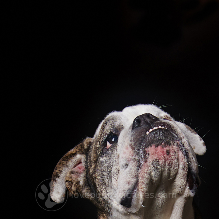 140118_TMPP_Bro&Champ_0030.jpg