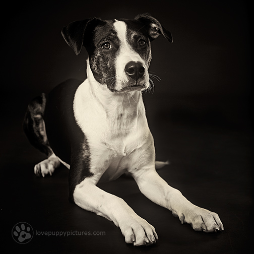 Luma_0022 1.jpg