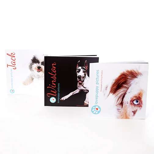 PuppiesAndProducts_0359.jpg