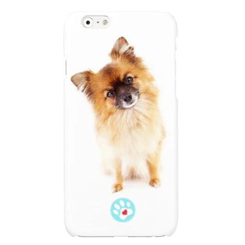 iPhoneCase_indy.jpg