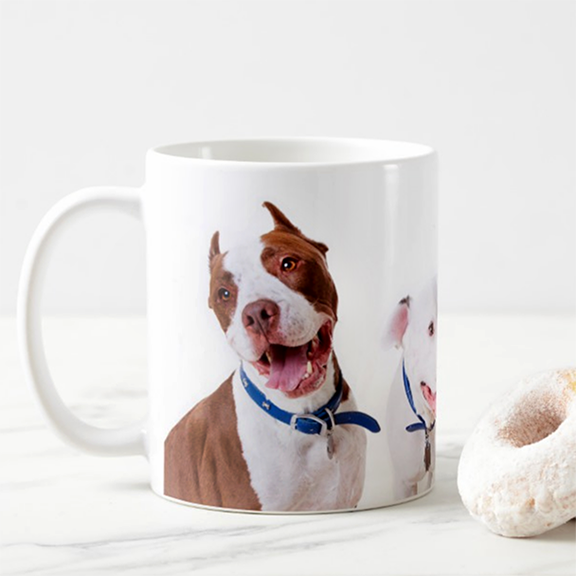 JunesMug_A.png
