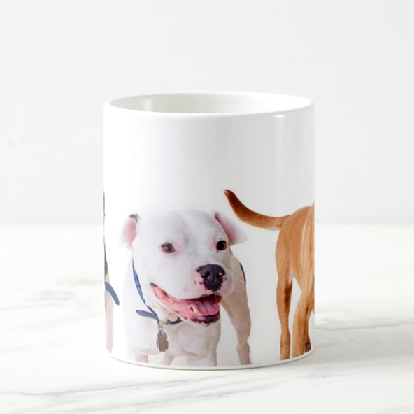 JunesMug_B.png