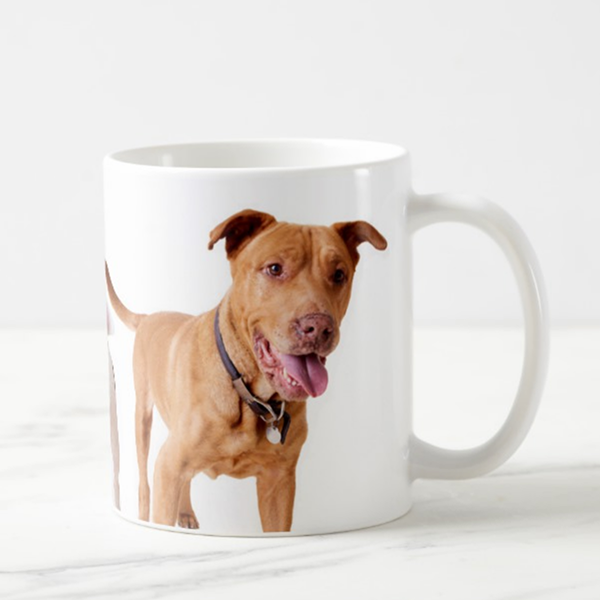 JunesMug_C.png