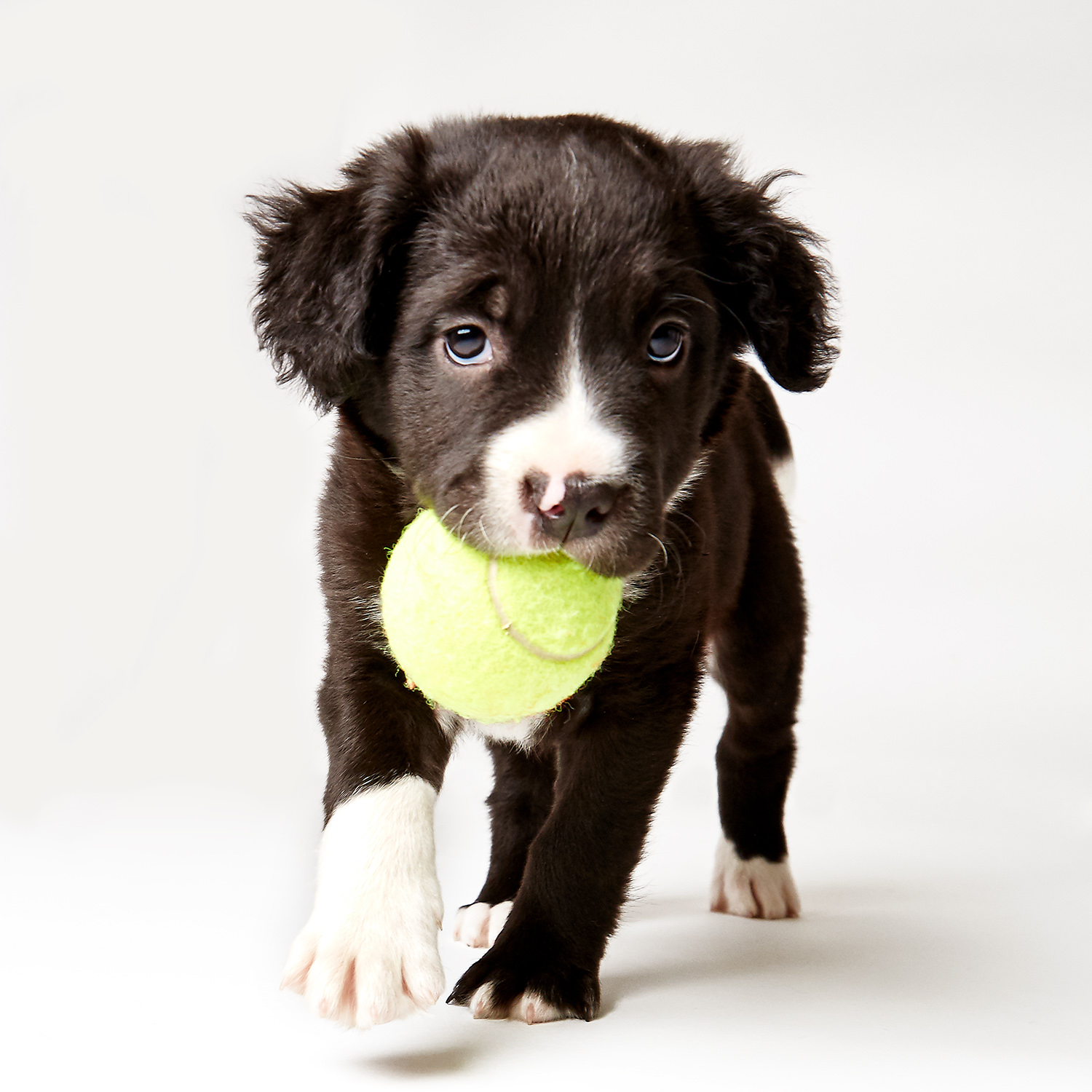 08_Benji_032.jpg
