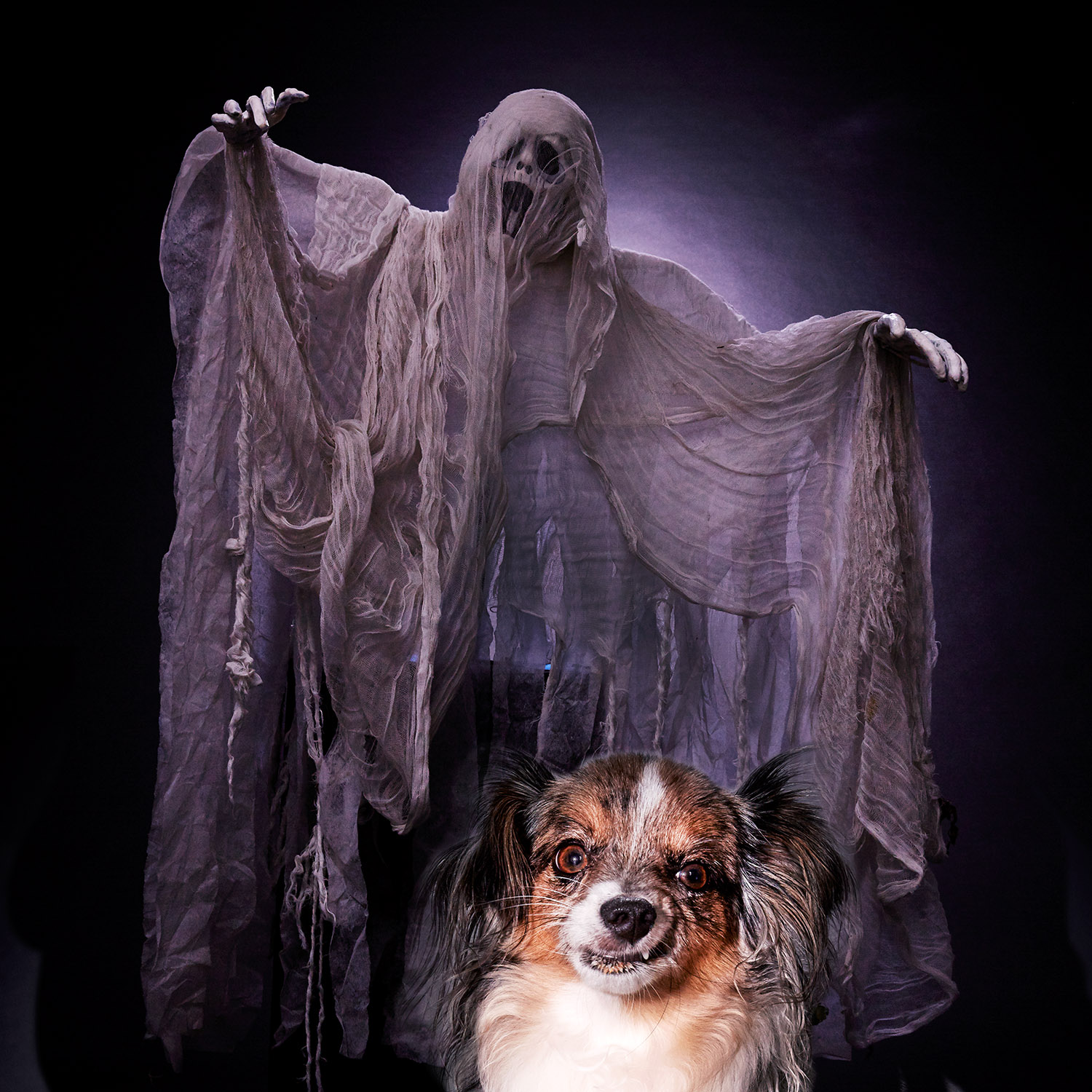 HalloweenZombie_0041_v2.jpg