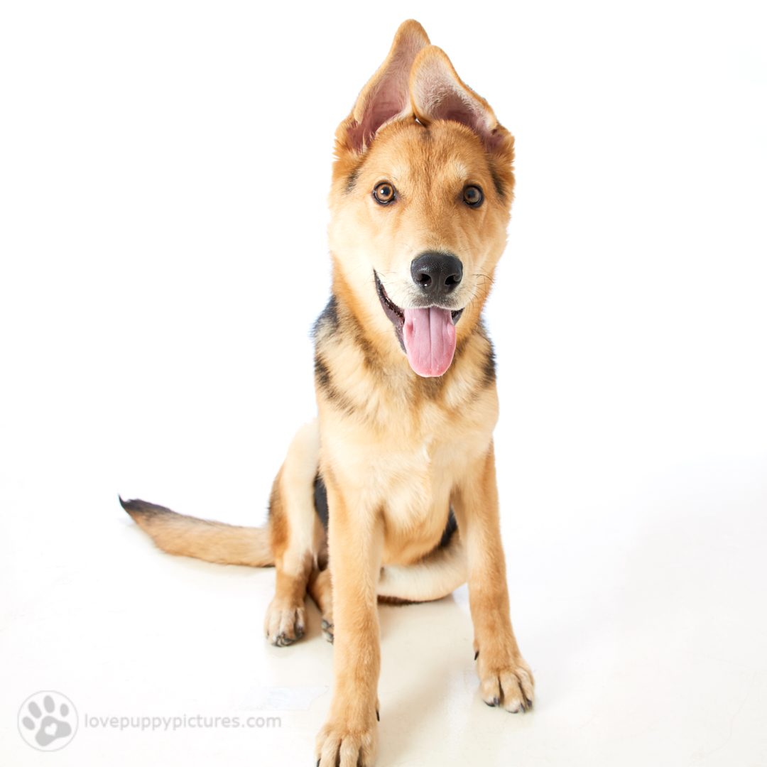 180421_LPP_FFLRescueNetwork_0023.jpg