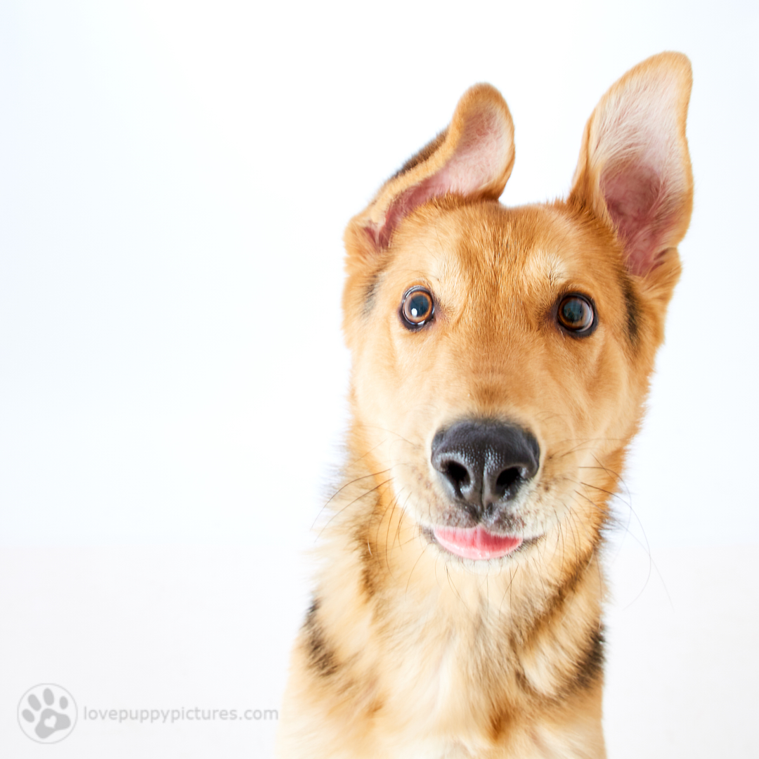 180421_LPP_FFLRescueNetwork_0260.jpg