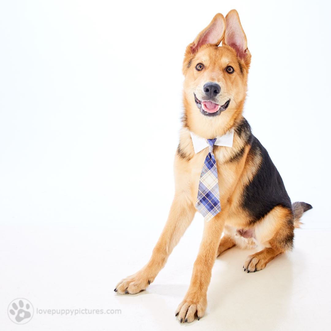 180421_LPP_FFLRescueNetwork_0273.jpg