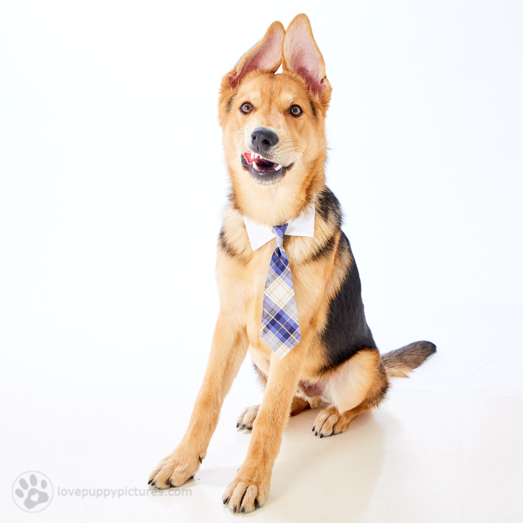 180421_LPP_FFLRescueNetwork_0276.jpg