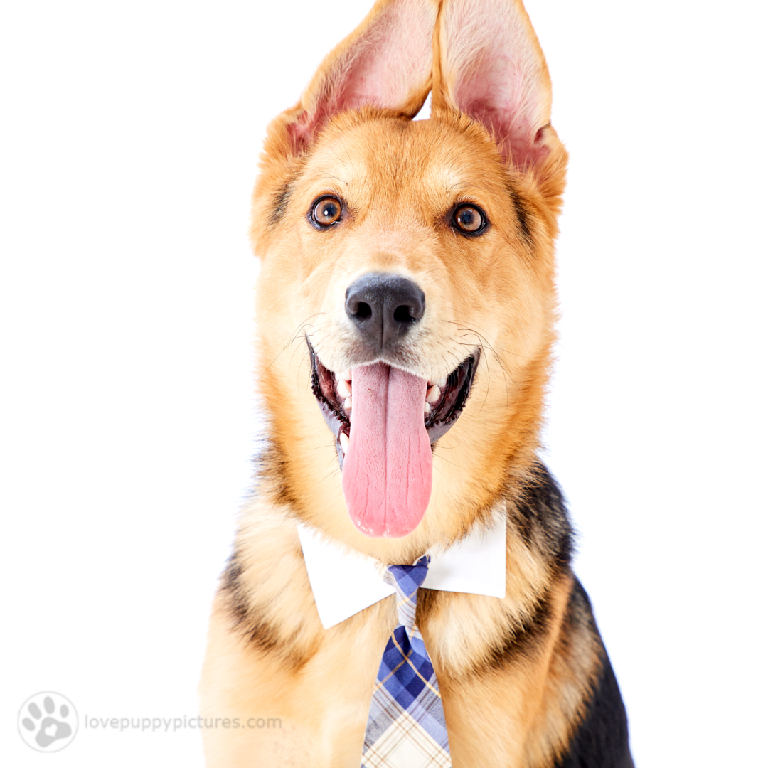 180421_LPP_FFLRescueNetwork_0278.jpg