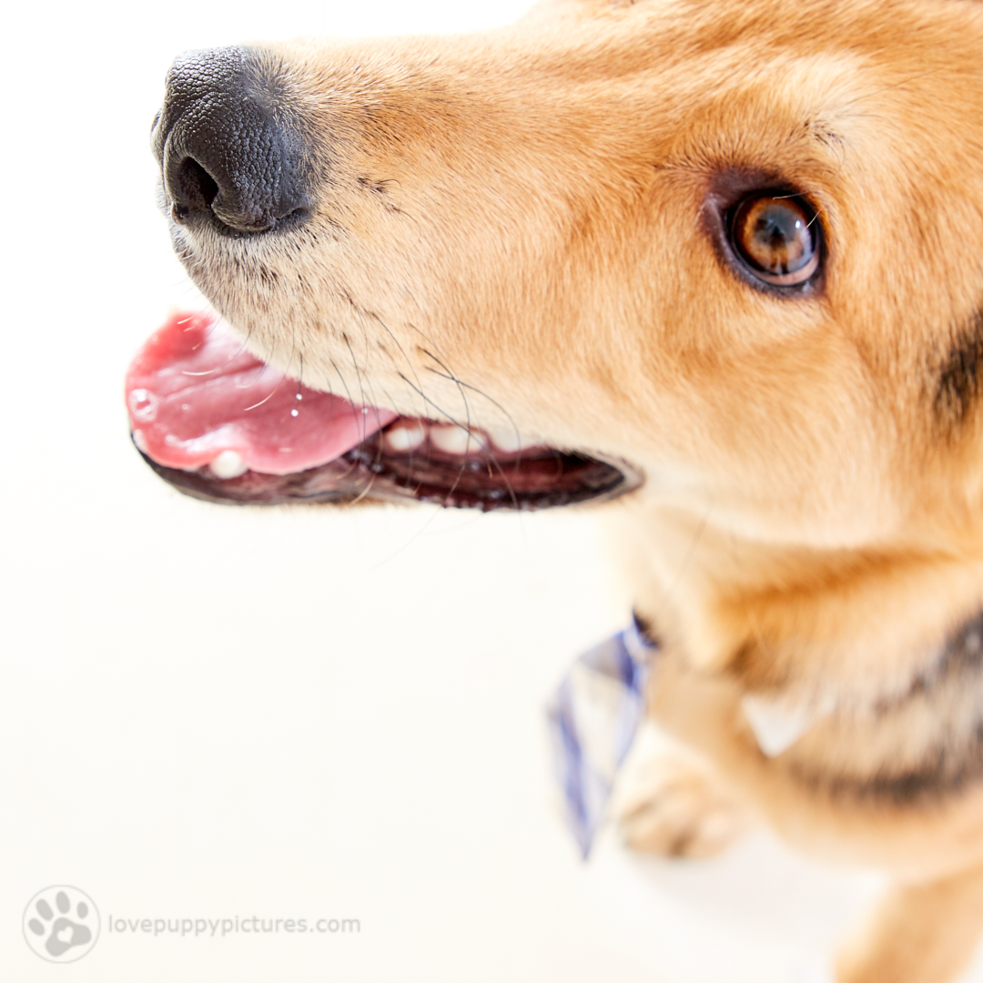 180421_LPP_FFLRescueNetwork_0303.jpg