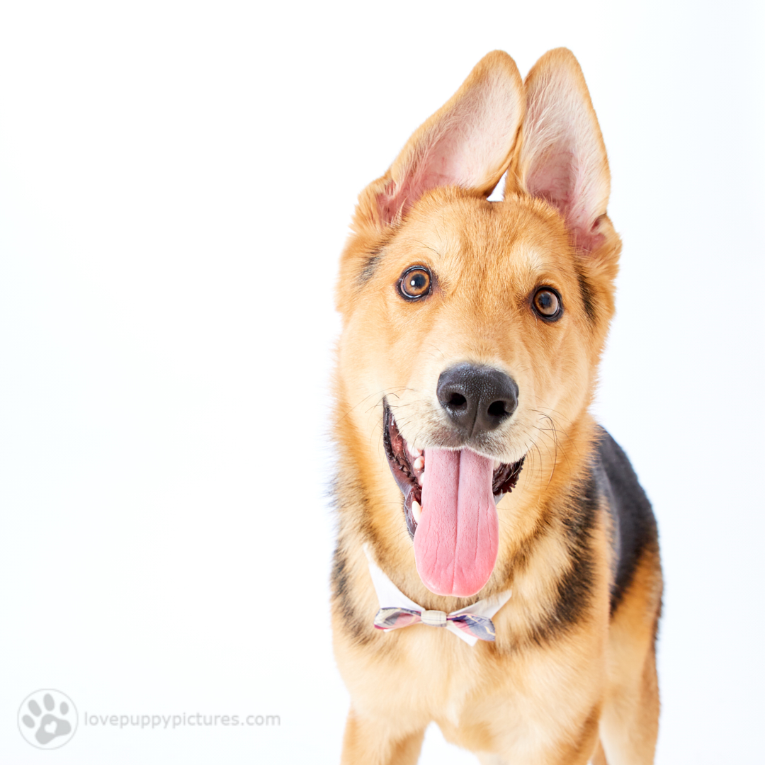 180421_LPP_FFLRescueNetwork_0331.jpg