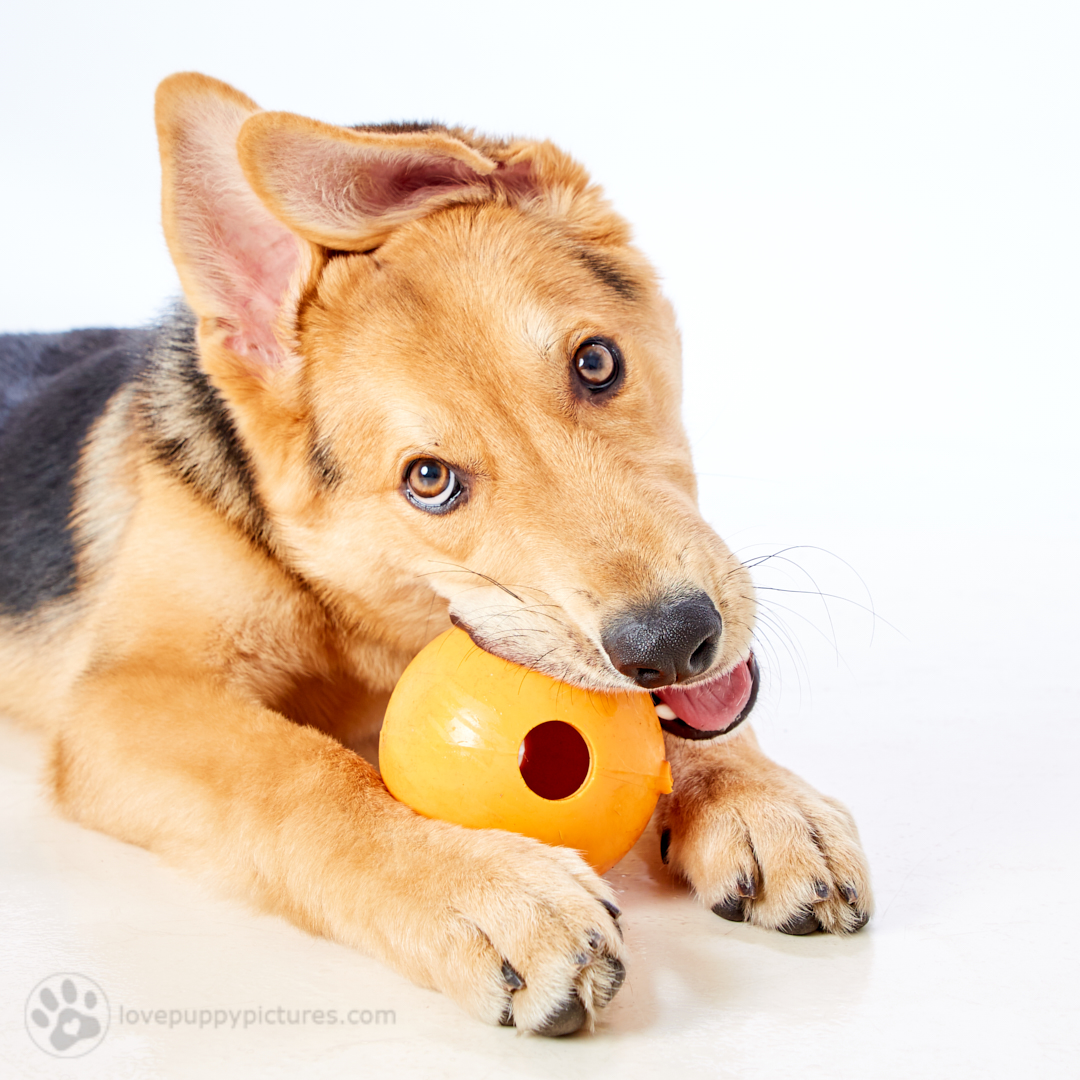 180421_LPP_FFLRescueNetwork_0366.jpg