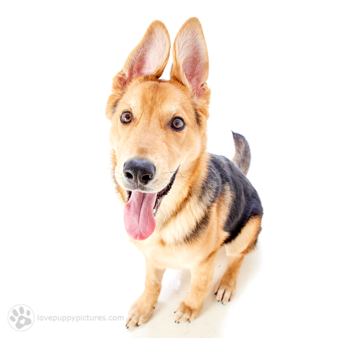 180421_LPP_FFLRescueNetwork_0517.jpg