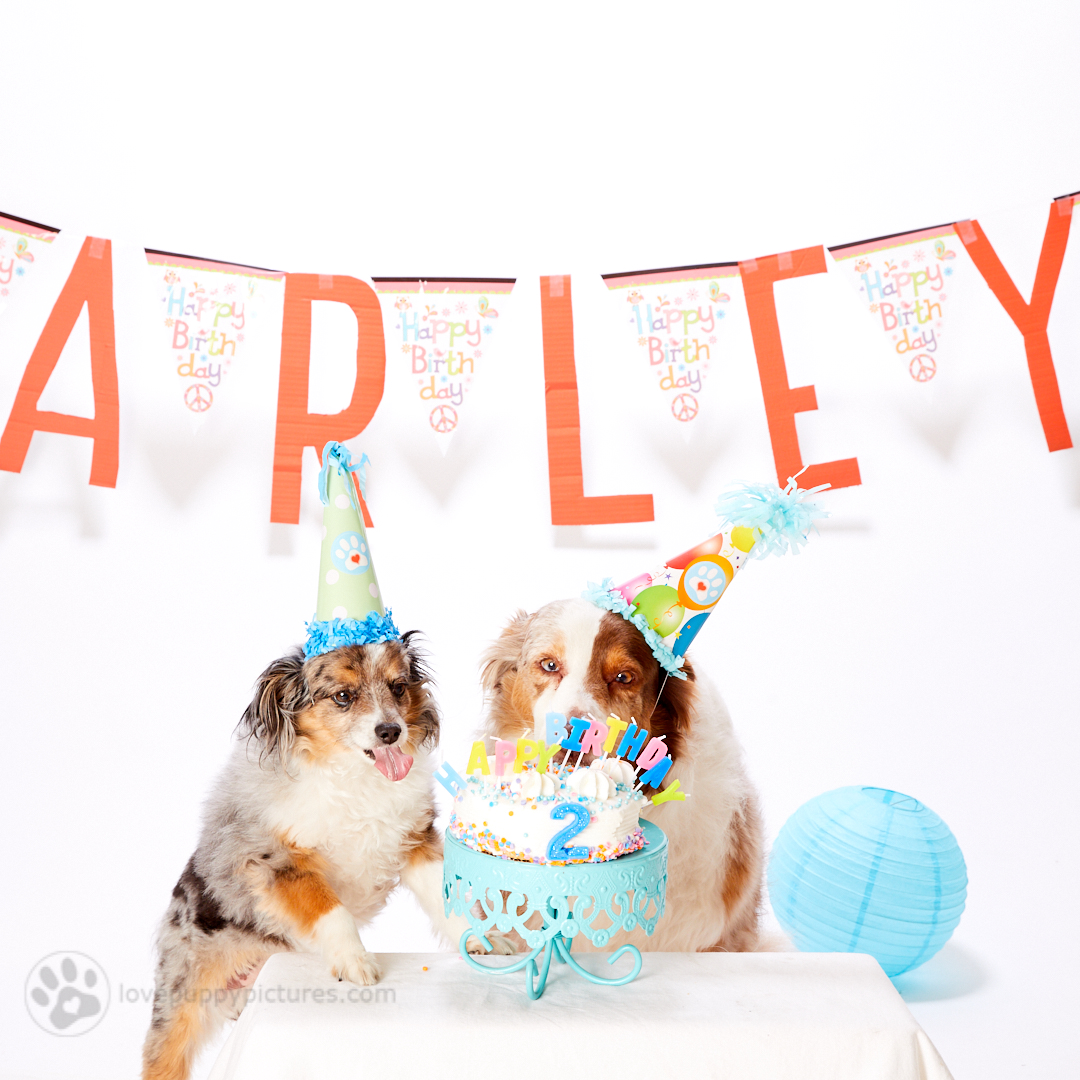 180414_LPP_Arley_Party_0018.jpg
